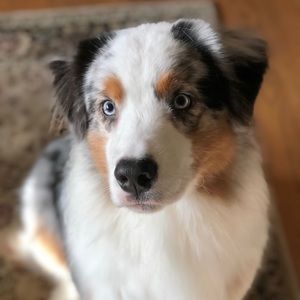 Meet your Posher, Ellie